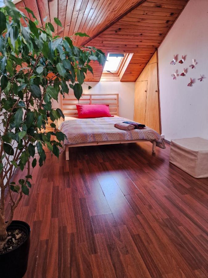 Beautiful Aparment Next To The Border 4 Room Saint-Louis  Zewnętrze zdjęcie